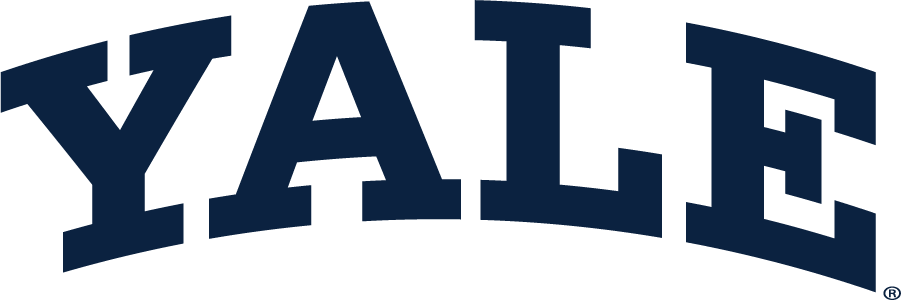 Yale Bulldogs 1935-Pres Wordmark Logo v2 iron on transfers for clothing